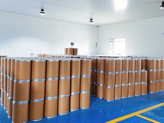 White Or Creamy White Powder Polyvinylpyrrolidone PVP Nvp 10ppm Max Key Word PVPP