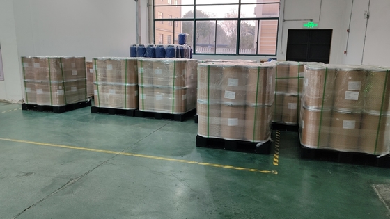 Insoluble PVPP Food Grade Crospovidone USP EP BP Pharmaceutical Grade PVPP XL