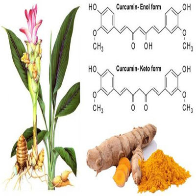 ISO9001 458-37-7 Powdered Herbal Extracts Turmeric Curcumin Supplement 95% Purity